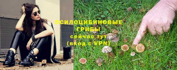 героин Алзамай