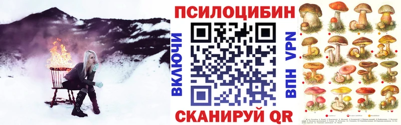 продажа наркотиков  blacksprut tor  Псилоцибиновые грибы Psilocybine cubensis  Осташков 